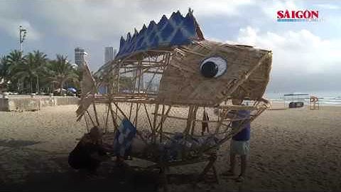 Tin  Nóng: Cá Bống khổng lồ “ăn” rác thải nhựa trên bãi biển Đà Nẵng