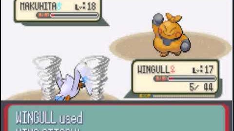 Pokemon Ruby walkthrough part 9