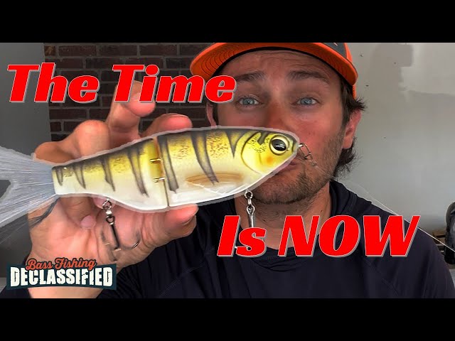 Lots Of Anglers Are Unsure About Fishing A Glide Bait! MUST Watch