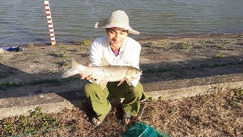 Câu Cá Trắm cỏ khủng 3kg Đập thôn 13 Eahkhal Đắk Lắk Hành Trình Câu Cá Tập 20