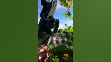 Difference between iPhone