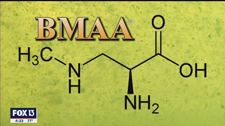 What's in the Piney Point wastewater?
