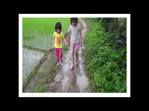 Lớp 1 - Tập đọc - Cái Bống
