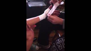 Basic Thumb Application