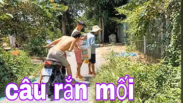 Câu Rắn Mối Bằng Mồi Dế Mùa Nước Nổi Ở Miền Tây # SĂN BẮT ĐỒNG THÁP #