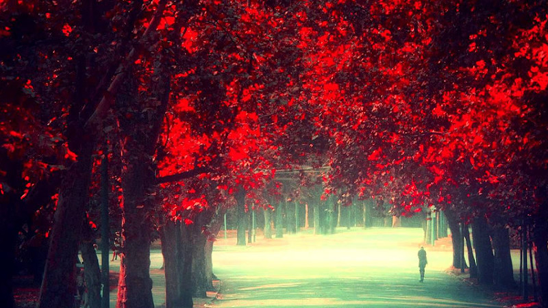 London Grammar - Sights (Monrroe. Remix)