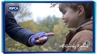 A Little Kindness - RSPCA Christmas Ad 2018