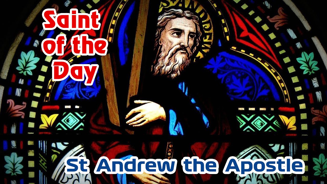 St Andrew the Apostle | Saint of the Day with Dcn Lindsay | 30 November ...