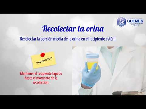 Vídeo: Cultivo De Orina Bacteriano: Cómo Donar, Reglas De Recolección, Preparación Para El Análisis