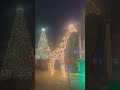 Christmas decorations @ Busch Gardens, Florida #florida  #tampaflorida #christmas2025 #xmasdecor