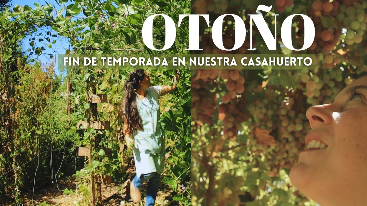 TOUR DE NUESTRO HUERTO | El Otoño casi llegó y esto es lo que queda