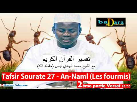 Tafsir Sourate 27 - An 'Namli - (les fourmis) verset 20 à 55 par Oustaz Hady NIASS