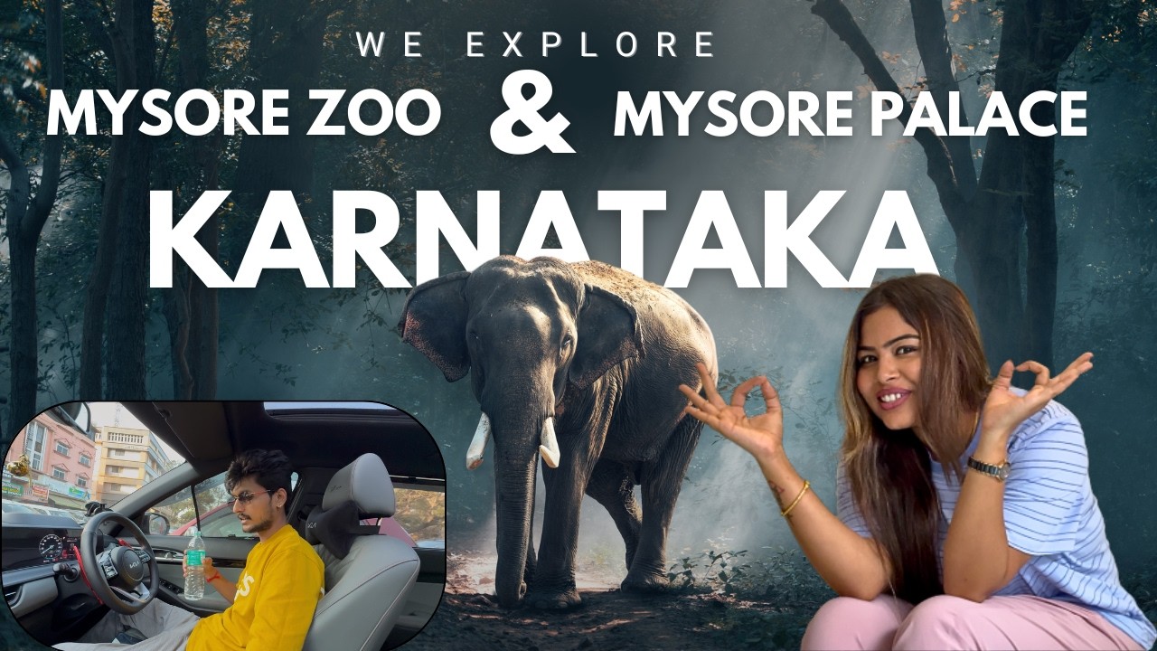 Mysore In One Day 😍 | Zoo Tour & Palace | South India Road Trip 🚗