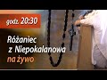 Różaniec z Niepokalanowa 13.03 g. 20:30 na żywo | NIEPOKALANÓW Kaplica św. Maksymiliana Kolbe