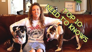 Top 10 Things To Know Before Buying an English Bulldog