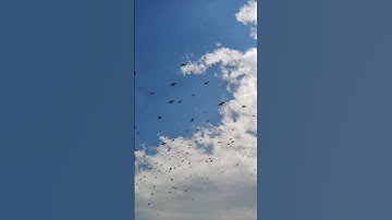 mini vlog 2, day 2 #vlogs #minivlogs#minivlog #youtubeshorts #youtube #youtuber#explore #explorepage