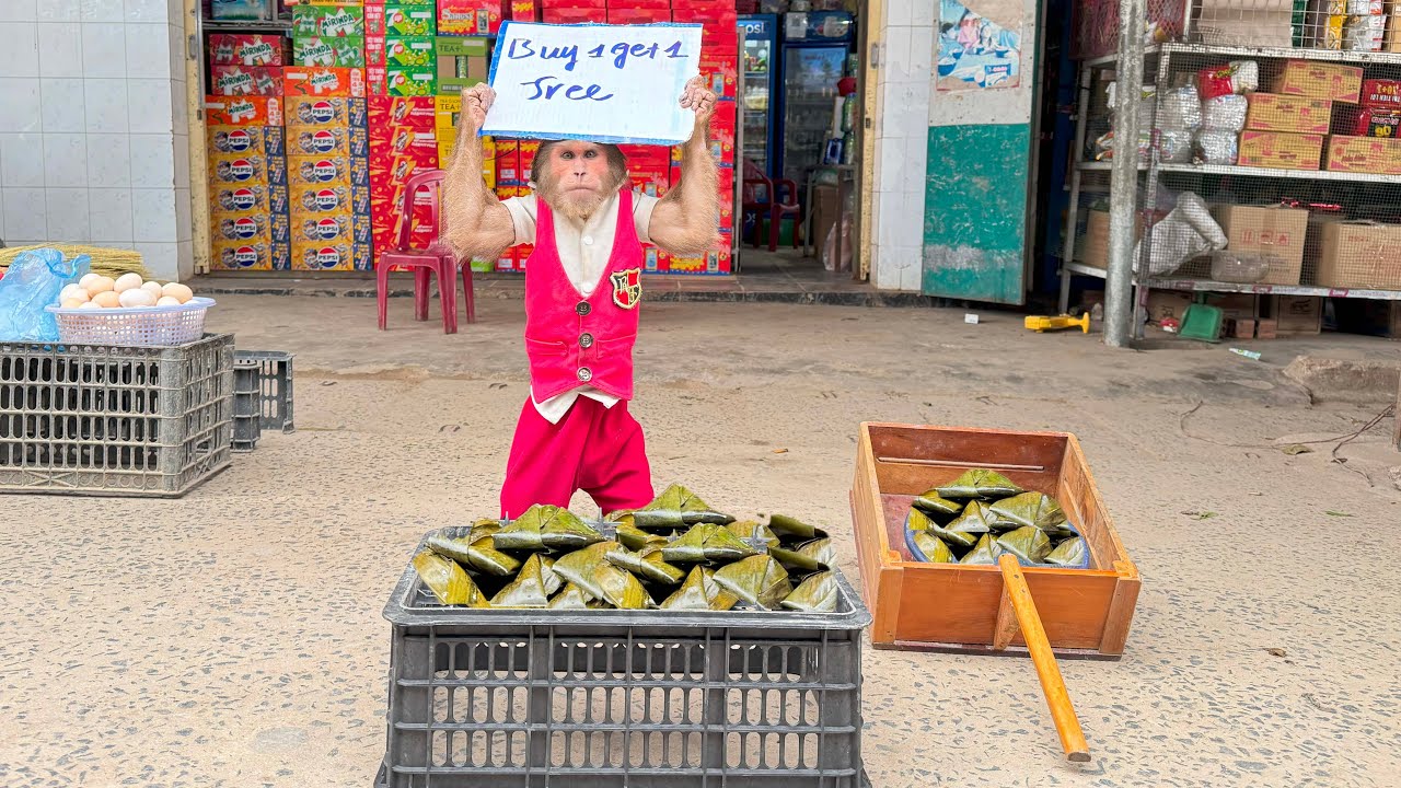 Cute CUTIS secretly steals Mom's cakes go market liquidation sale this special reason
