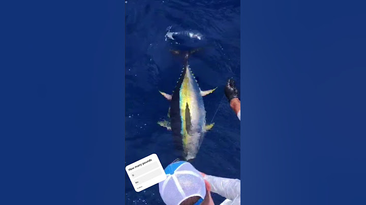 tuna season