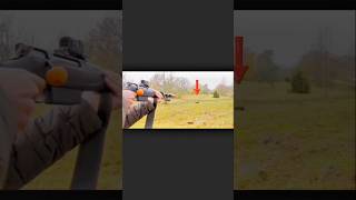 Дикий охотничий кадр из одного кабана, вирусное видео,🐗