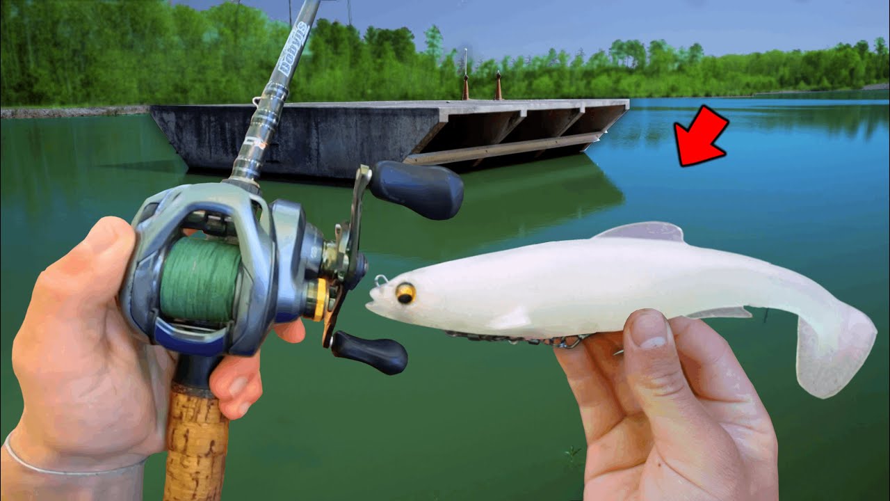 Fishing BIG Swimbaits For GIANT Pond BASS! (Bank Fishing)