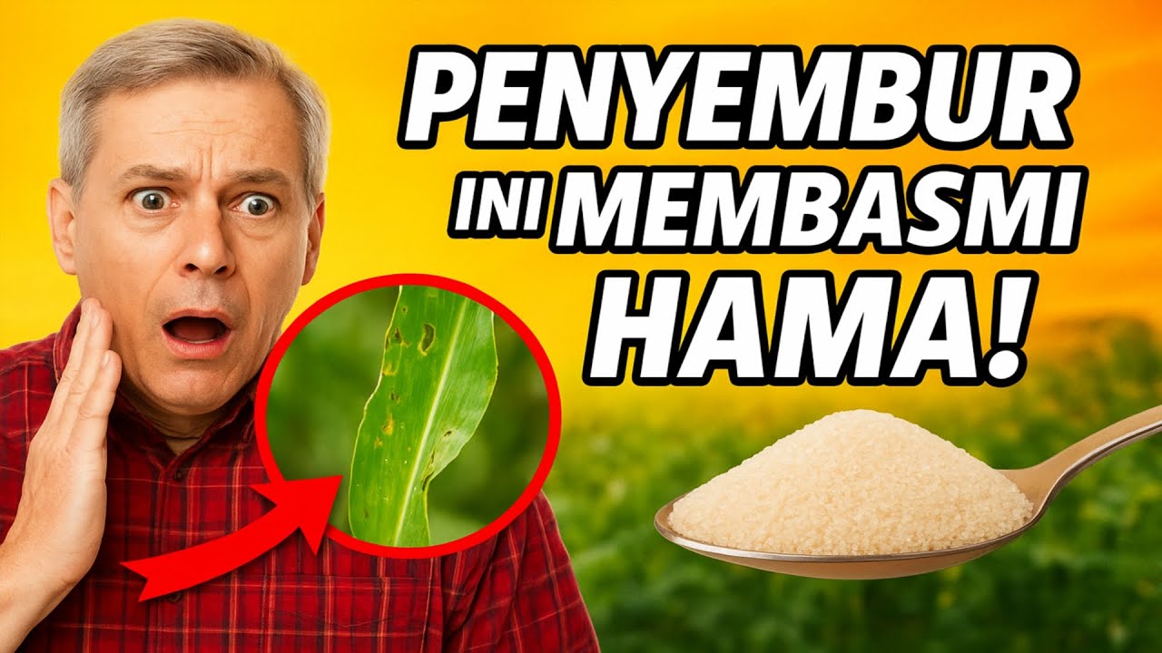 Para ahli pertanian menyembunyikan rahasia INI dari para pekebun!