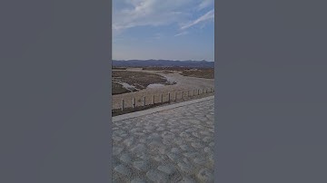 تلاوة هادئه من سورة طه