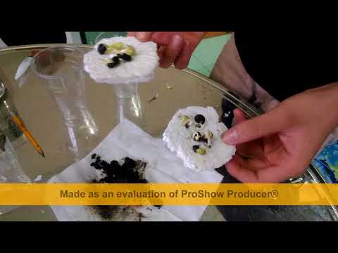 Video thực hành Sinh 11 bài 7 - YouTube