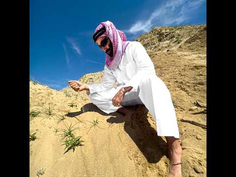 Nader Khalil Wahda Wahda