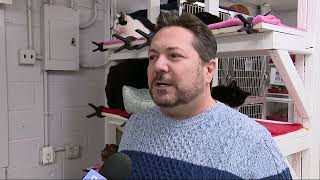Animal activists say pet 'bill of rights' legislation in California should be considered in NY
