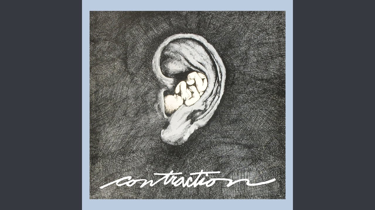 Contraction - Le chat bruinne accordi