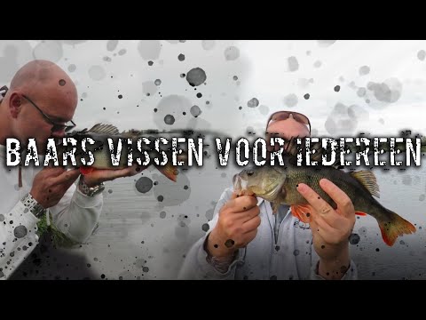 Video: Glazen baars - aquariumvissen