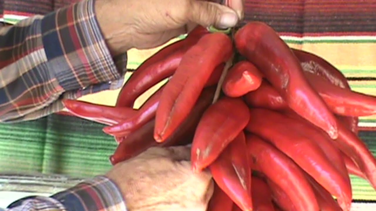 DIY Red Chile Ristra Demo in Mesilla, New Mexico!