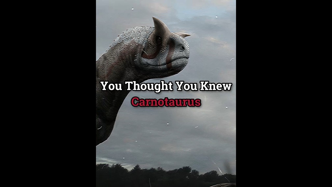 Carnotaurus Facts You Did Not Know... 