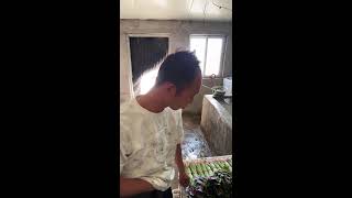 Moneymaker Trantham Live Stream