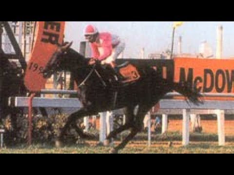 Astonish Ridden By Aslam Kader The Indian Derby 1992