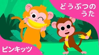 おさる バナナ | サメのかぞくメロディーで作られた! | おさる体操 | ピンキッツ体操 | ピンキッツ童謡