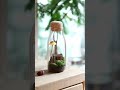 きのこリウム[Mushroom Terrarium] #mushroom #キノコ #art