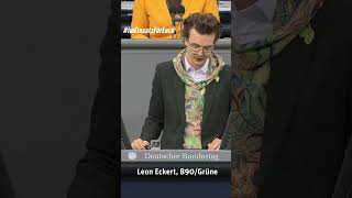 Gefährder, Schläger, Betrüger, Spione -AfD