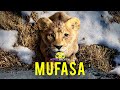 MUFASA The Lion King Trailer Movie Preview 2024 #disney