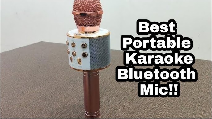 Micrófono karaoke bluetooth WS-858 - Diagonales Digital