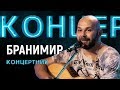 "Концертник": Бранимир