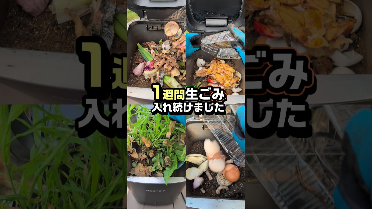 ハイブリッド生ごみ処理機ってなに？高額でも選ばれるその理由とは！？ #生ごみ処理機 #リンクル #家庭菜園