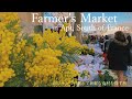 Marché d'Apt en 2022 / Shopping du matin le week-end / Provence / Mimosa / raclette / France /