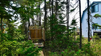 Forest Pallet Shower and a Beginner Beekeeping Mistake | The Homestead Diaries Ep. 12