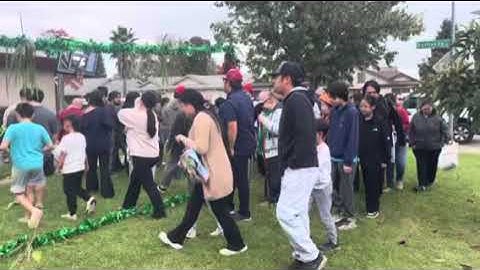 Hmoob Lis lwm qaib xyoo 2025