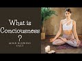 What is consciousness?