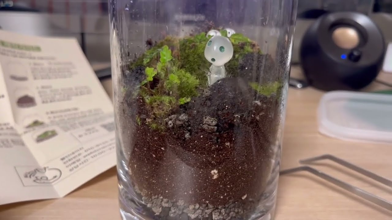 테라리움 만들깅