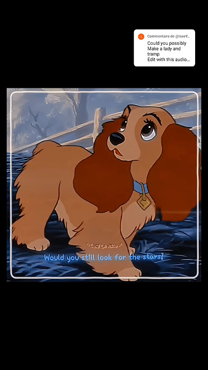 ♡ 𝐿𝒶𝒹𝓎 & 𝒯𝓇𝒶𝓂𝓅 ♡