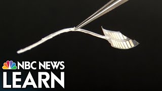 Science of Innovation: Micro-Fabrication for Cochlear Implants