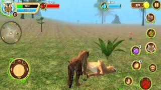 Tiger Family Simulator #16 - Tiger Jungle Survival | Best Animal Android GamePlay screenshot 1